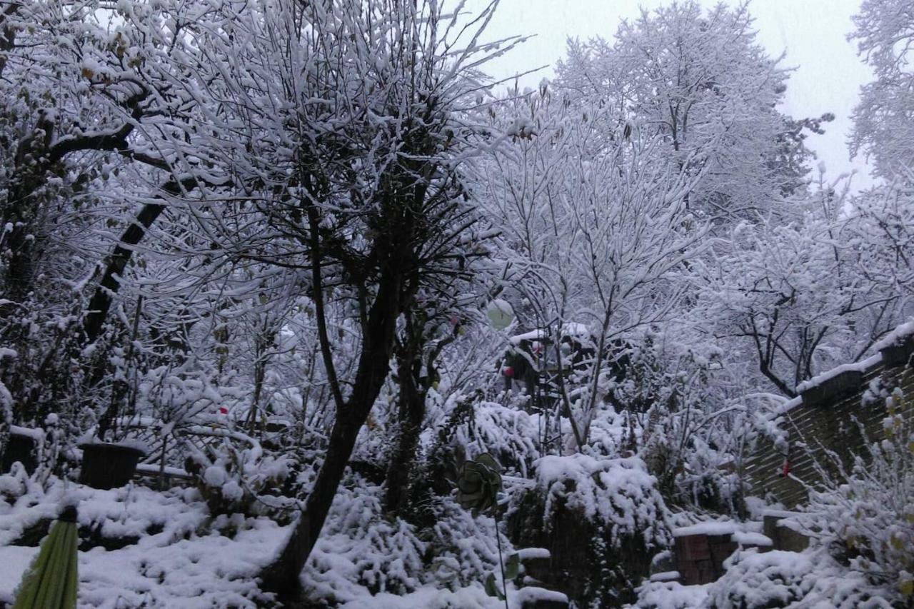 Ruhige, Grosse Ferienwohnung Am Muehlberg, Stadtrand 维也纳 外观 照片