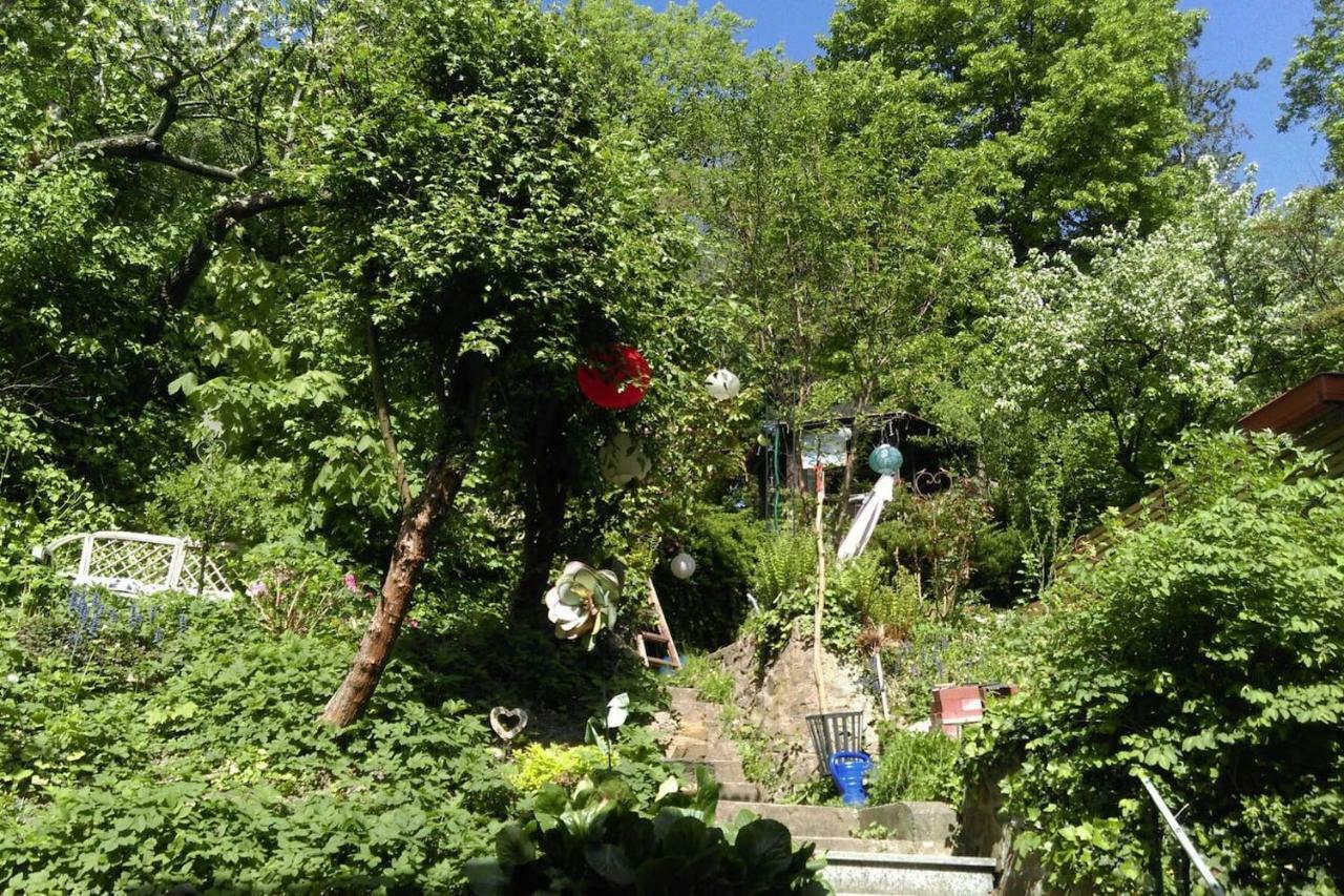 Ruhige, Grosse Ferienwohnung Am Muehlberg, Stadtrand 维也纳 外观 照片